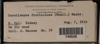 Image Associated With the Occurence
